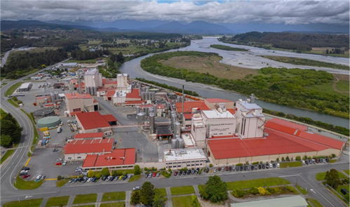 架起中澳合作 乳業(yè)橋梁 伊利出席中澳工商界首席執(zhí)行官圓桌會(huì)